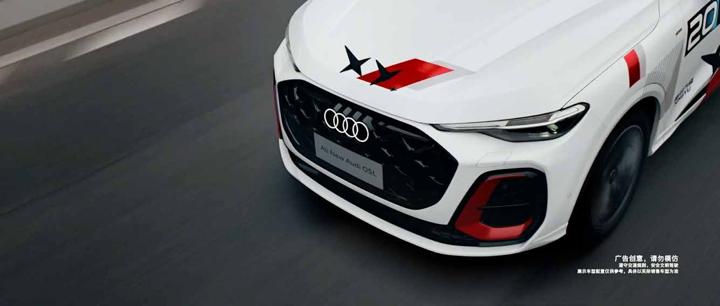 AUDI 奥迪 · 赛道 · 图版 7