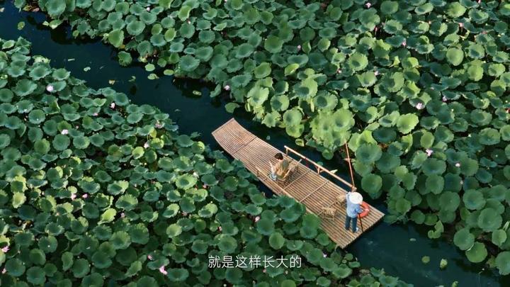 小米 · 生活总有新预期 · 图版 14
